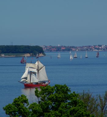 Rumregatta_mit_Blick_auf_Sonderburg