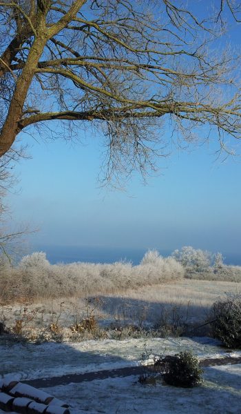 Rund_ums_Zollhaus_Winter01